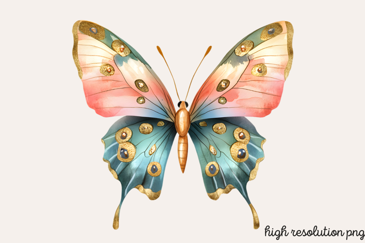 Colorful Spring Butterfly Clipart PNG