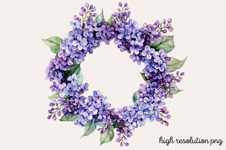 Lilac Illustration Image 18
