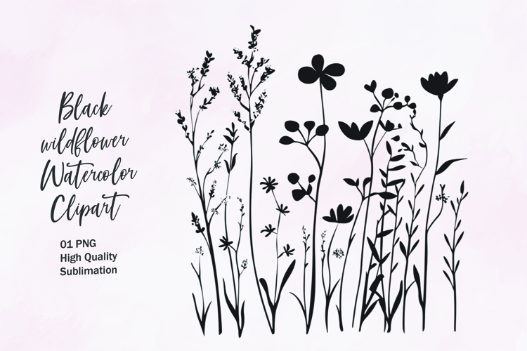 Flower Outline Png Image 13