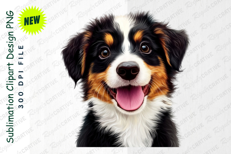 Bernese Clipart Image 2