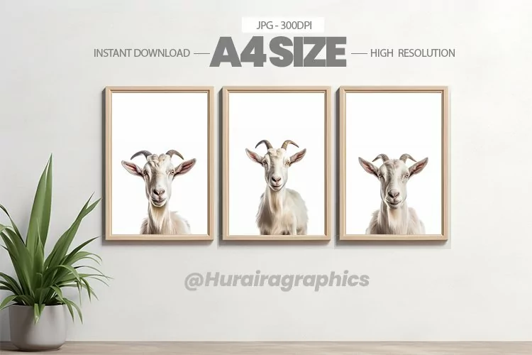 Animal Wall Art - 03 Variations