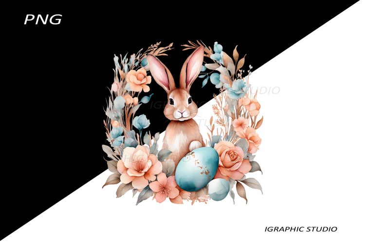 Egg Png Image 13