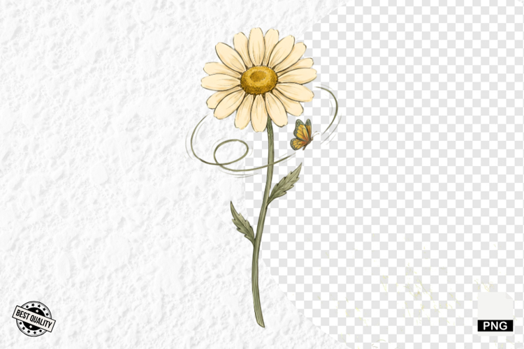 Daisy Flower Clipart