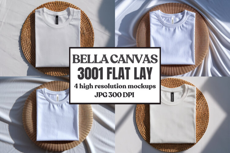 Bella Canvas 3001 Flat Lay T-Shirt Mockup example image 1