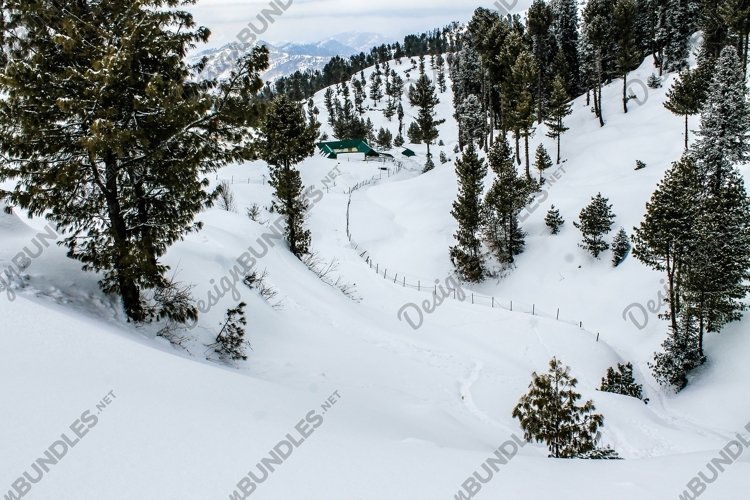 Breathtaking view of the trees on the snow-covered example image 1