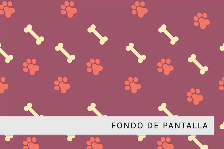 Patrón Minimalista de Productos para Mascotas