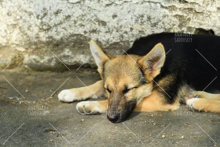 Sleeping Clipart Image 14
