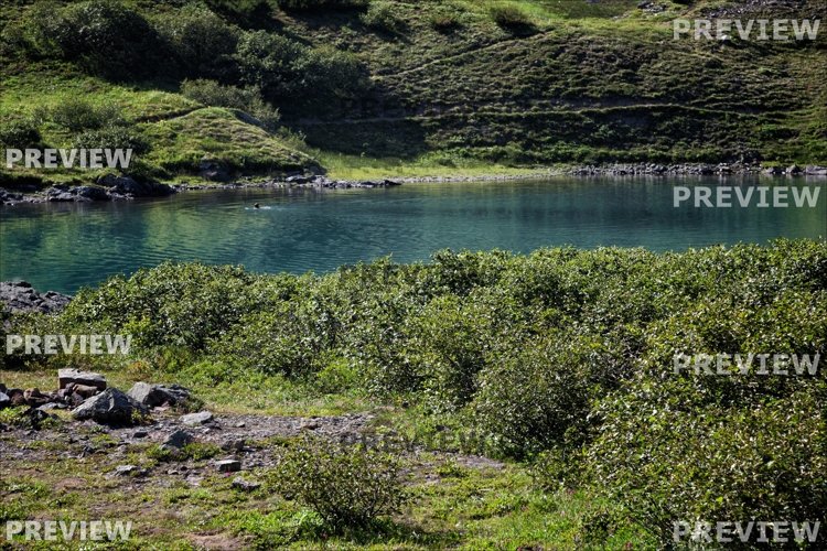 Nature Photo. High resolution wallpaper example image 1