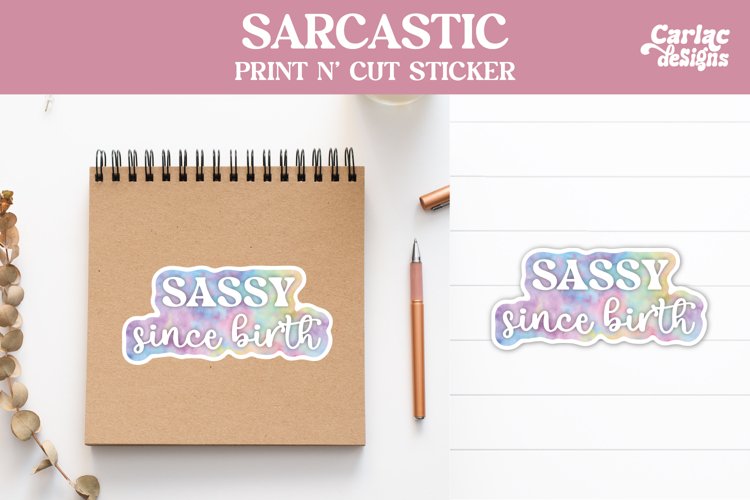 Funny Stickers, Sarcastic Stickers, Sassy Since Birth