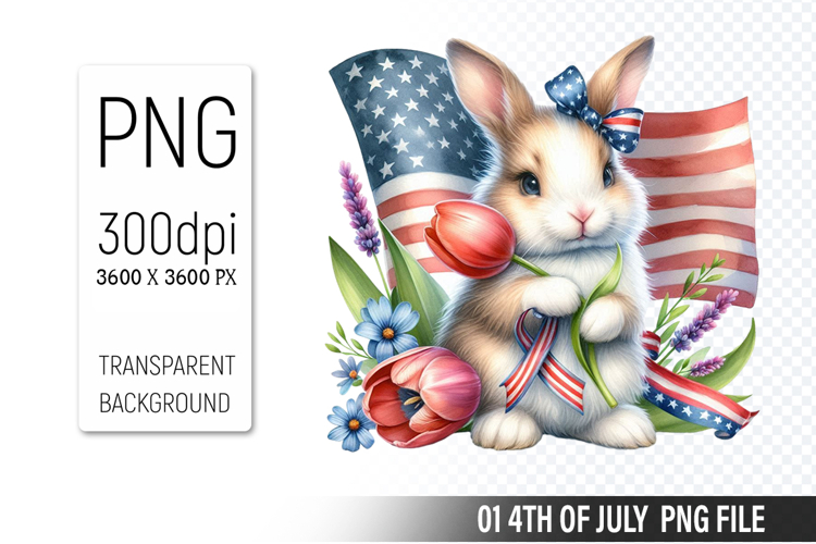 American Flag Png Image 3