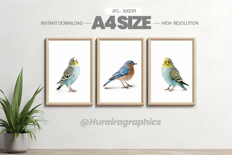 Bird Wall Art - 03 Variations