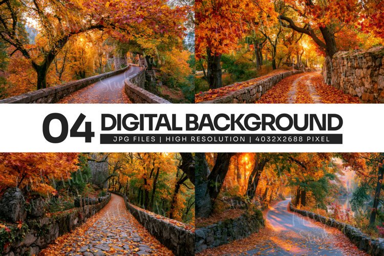 Autumn Stone Wall Forest Road Background example image 1