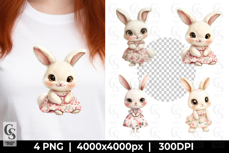 Rabbit Illustration Image 18