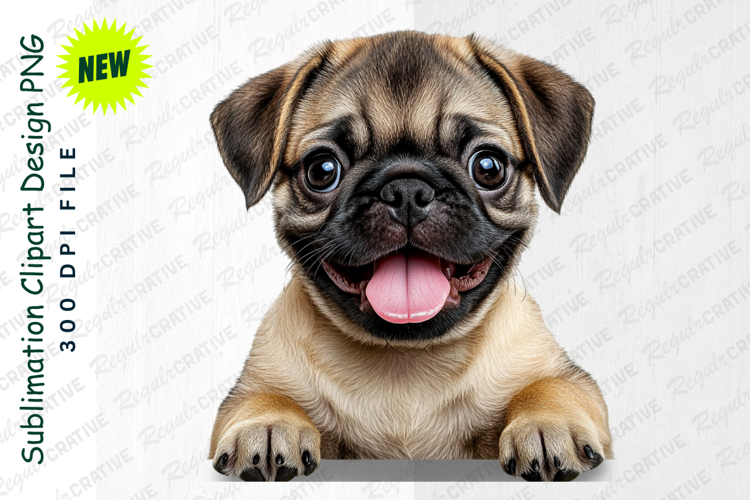 Pug Clipart Image 9
