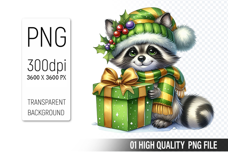 Raccoon Illustration Image 6