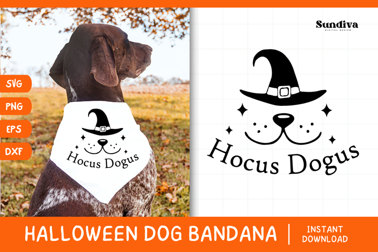 Funny Halloween Dog Bandana Quote SVG | Hocus Dogus