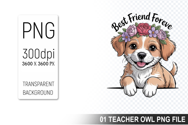 Pet Illustration Image 15