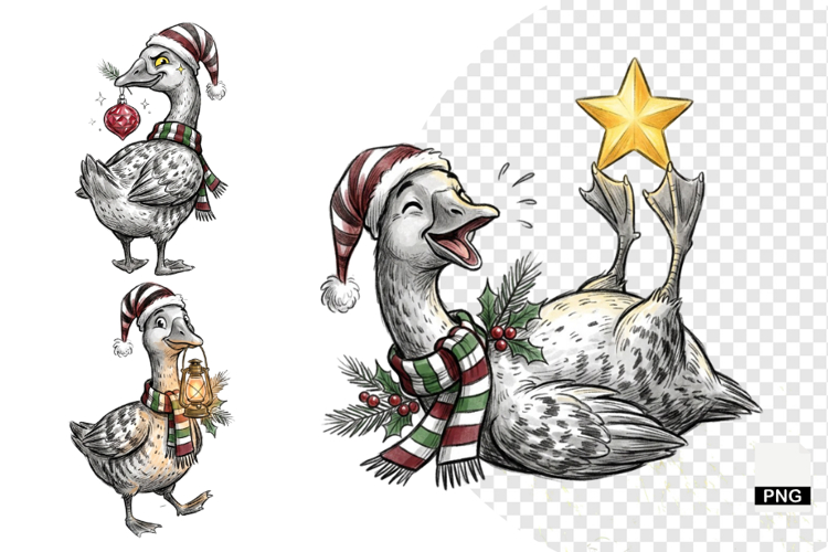 Goose Illustration Image 20