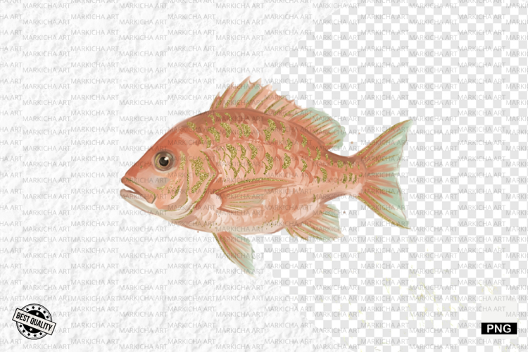 Dreamy Coral Reef Clipart - Summer Clipart