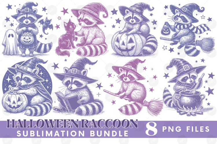 Funny Sarcastic Feral Witch Raccoon Halloween PNG DTF Bundle