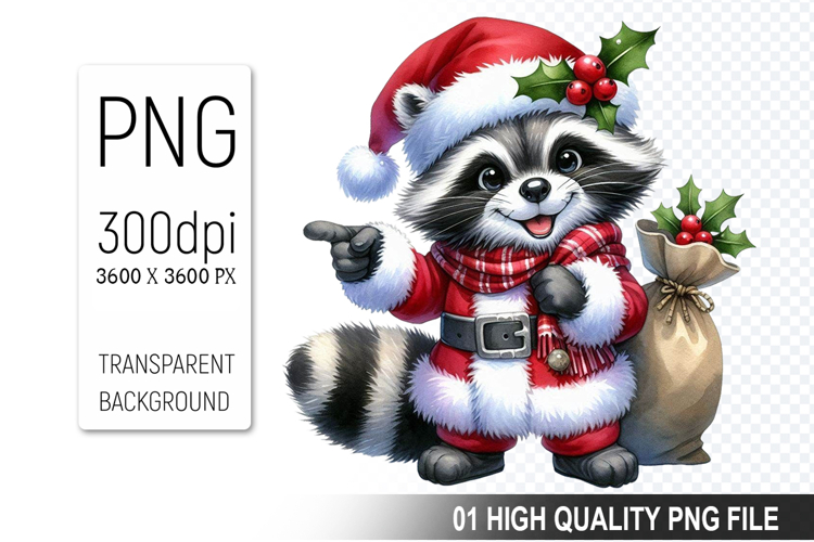 Raccoon Illustration Image 20
