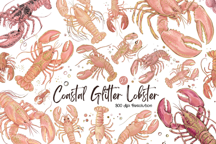 Lobster Illustration Image 22