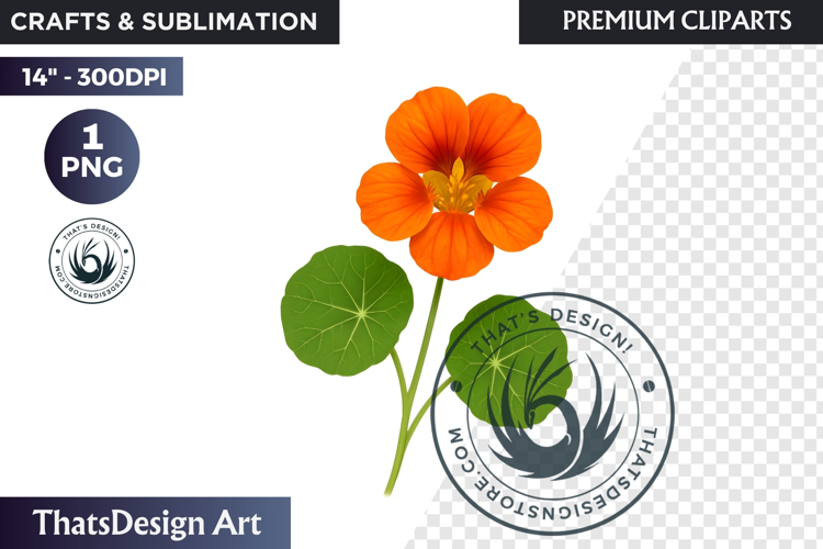 Flower Clipart Png Image 19