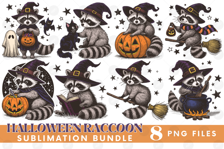 Funny Sarcastic Feral Witch Raccoon Halloween PNG DTF Bundle
