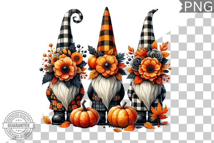 Gnome Clipart Image 10