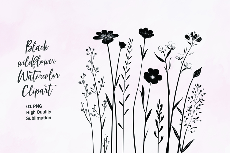 Flower Outline Png Image 11