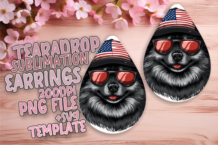 American Flag Clipart Image 15