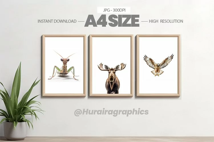 Animal Wall Art - 03 Variations