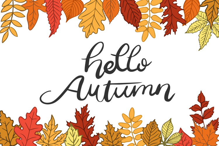 Hello Autumn Calligraphy with Colorful Fall Leaves