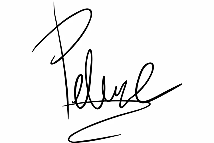 Handwritten signature for documents. Unique autograph svg
