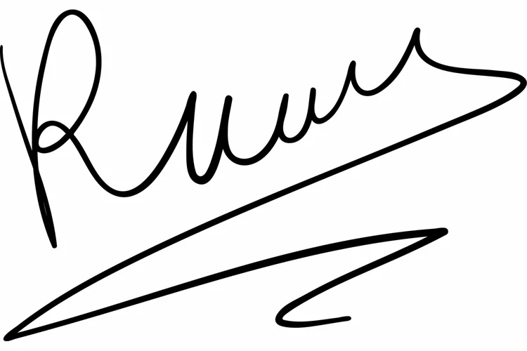 Handwritten signature for documents. Unique autograph svg