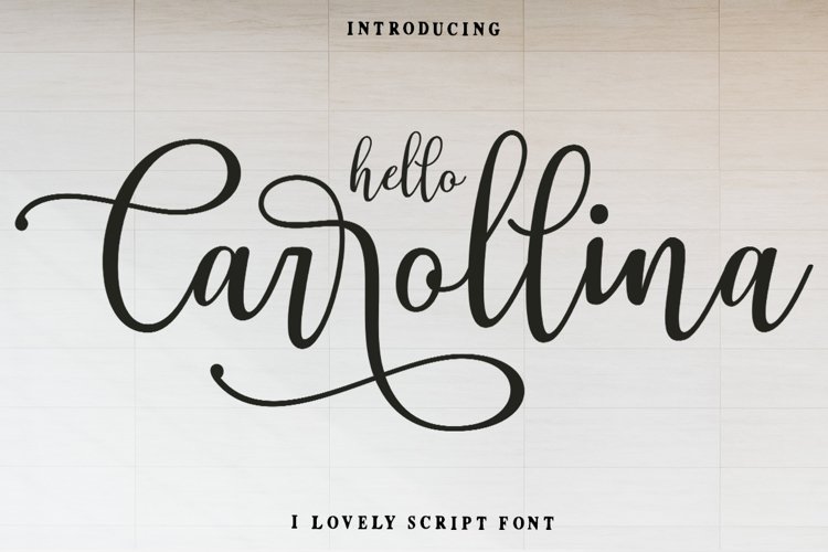 Font Collection Bundle