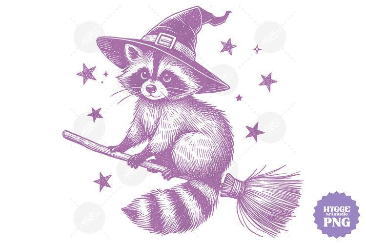 Vintage Funny Sarcastic Feral Witch Raccoon Halloween PNG