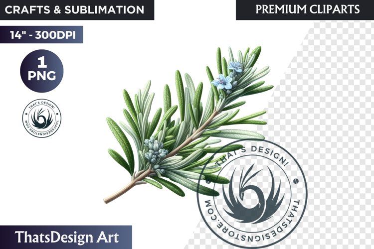 Medicinal Herbs clipart PNG, Apothecary Botanical Graphic
