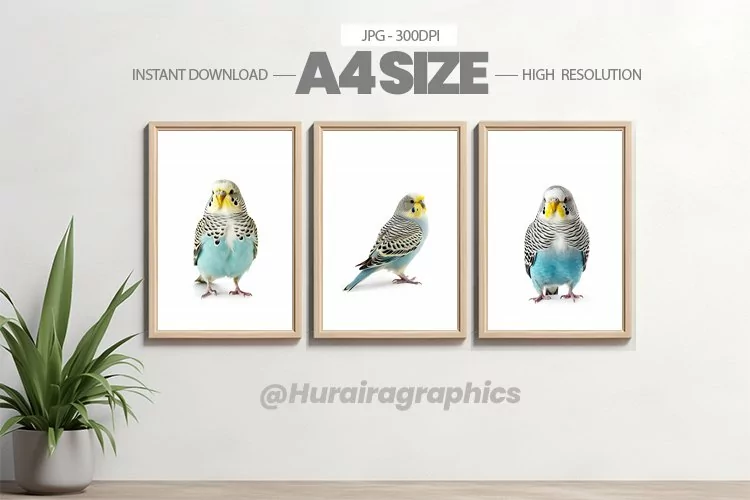 Bird Wall Art - 03 Variations