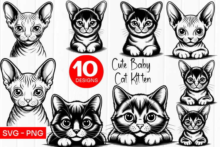 Cute Baby Kitten Clipart SVG PNG