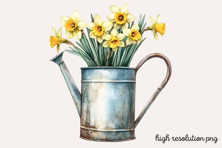 Daffodils Clipart Image 24