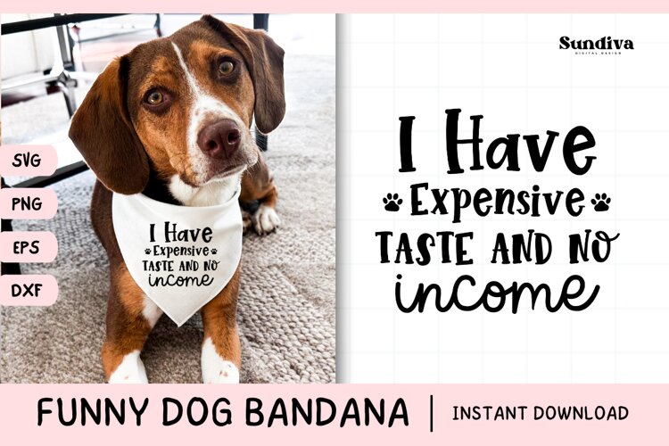 Funny Dog Bandana Quotes SVG | I Have Expensive Taste
