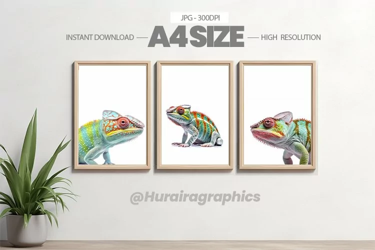 Animal Wall Art - 03 Variations