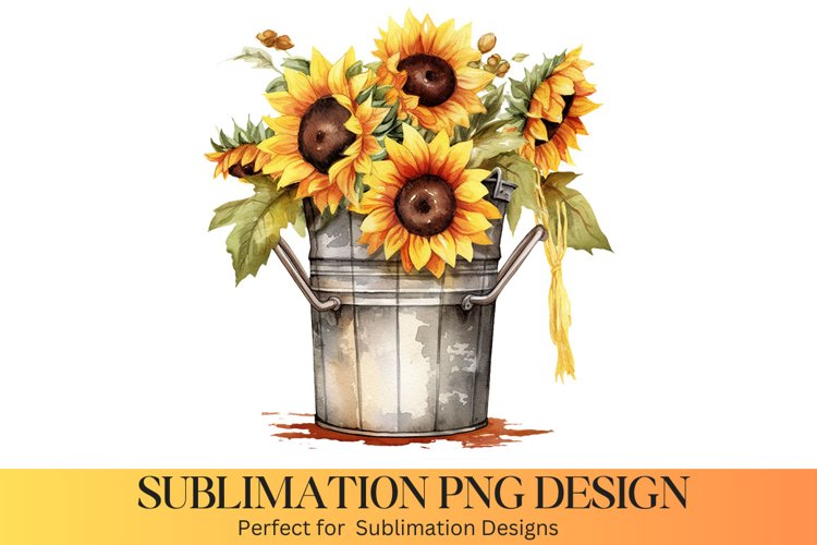 Sunflower PNG Image 16