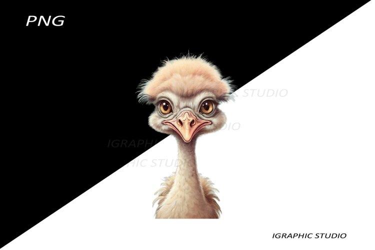 Tropical Flowers Clipart Image 17