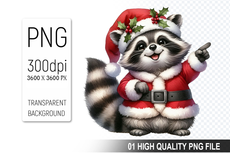 Raccoon Illustration Image 19