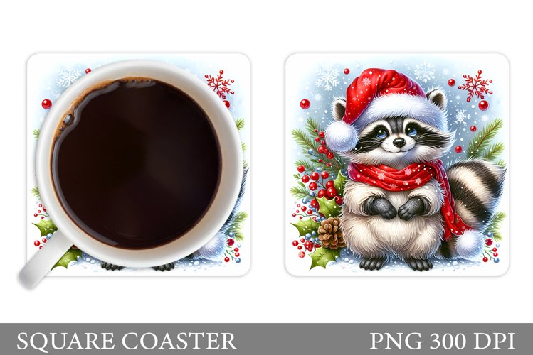 Raccoon Clipart Image 24