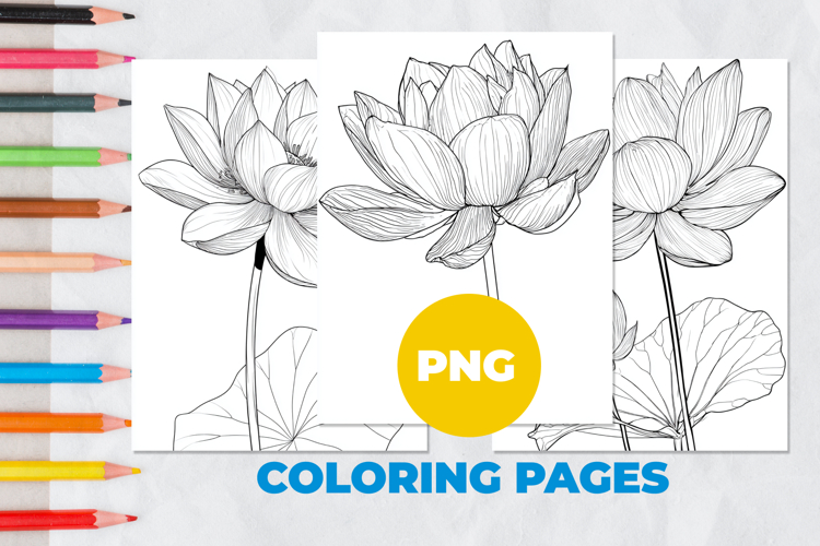 Lotus flower Coloring Pages | Coloring book