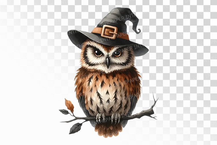  Witch Hat Clipart Image 2