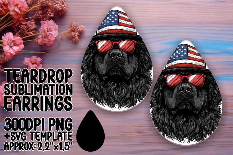 American Flag Clipart Image 14